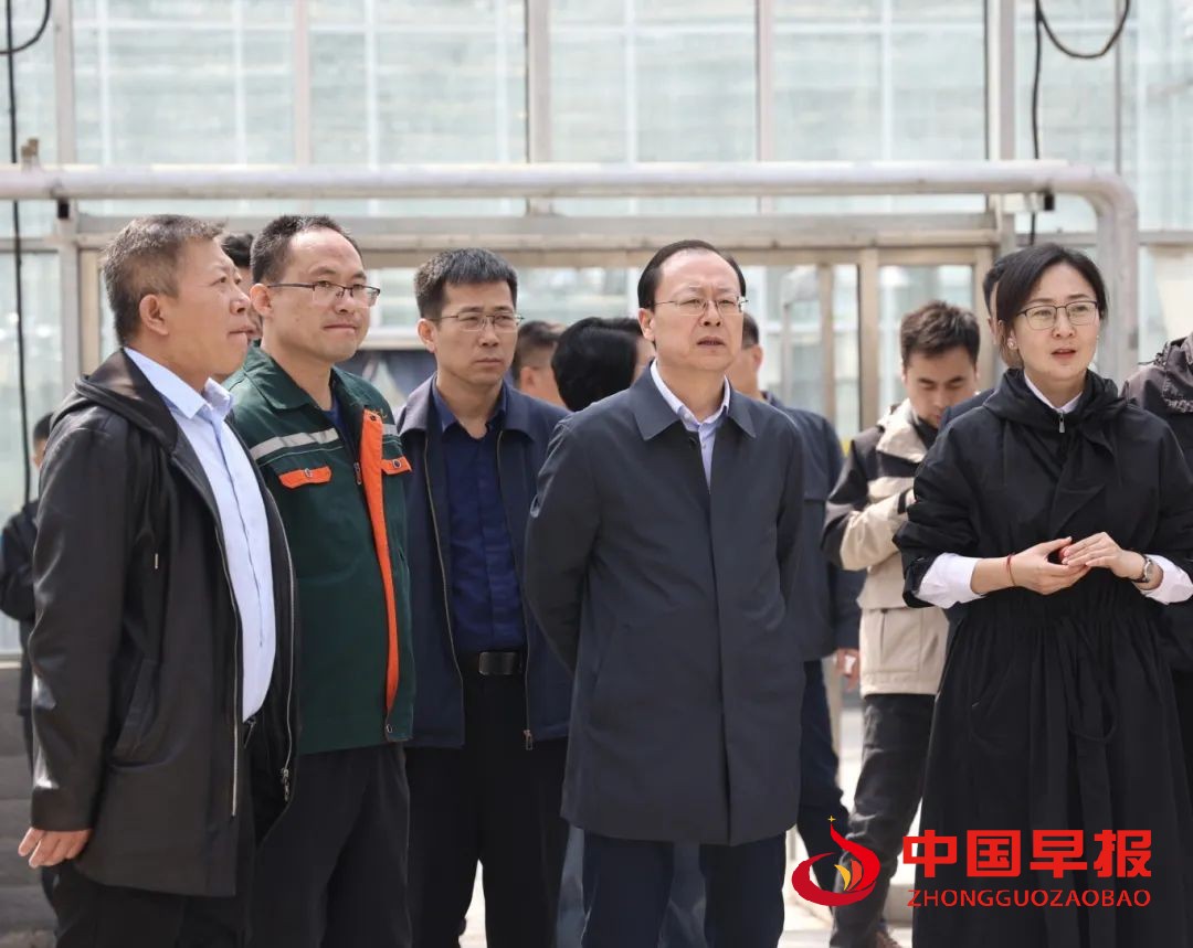 图片04.jpg