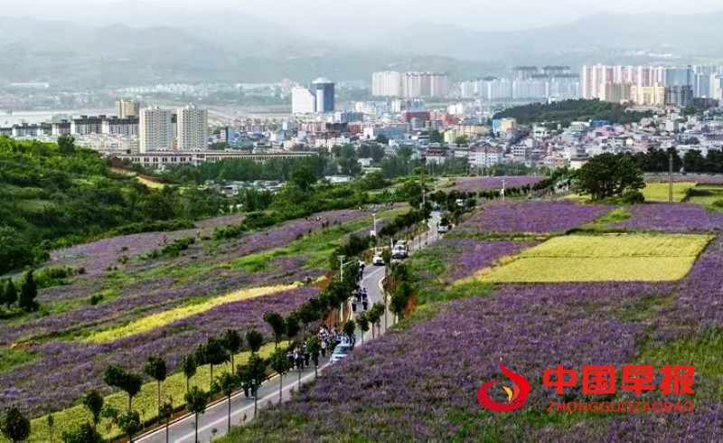 微信图片_20250425200338_副本.jpg
