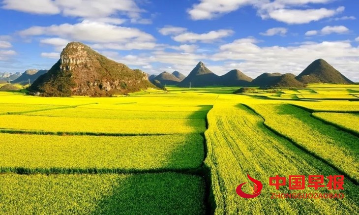 1710902550164383.jpg 图片06.jpg