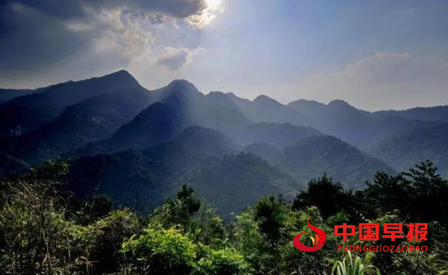 1713515475857341.png aaa1.png