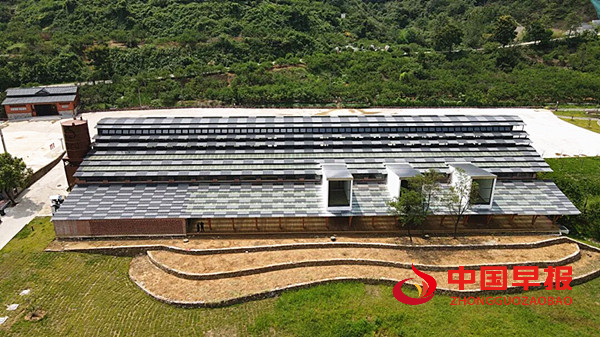 1729220112504265.png 图片03.png