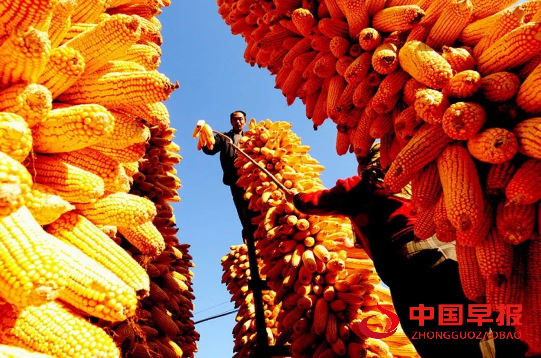 1729854262185064.jpg 图片01.jpg