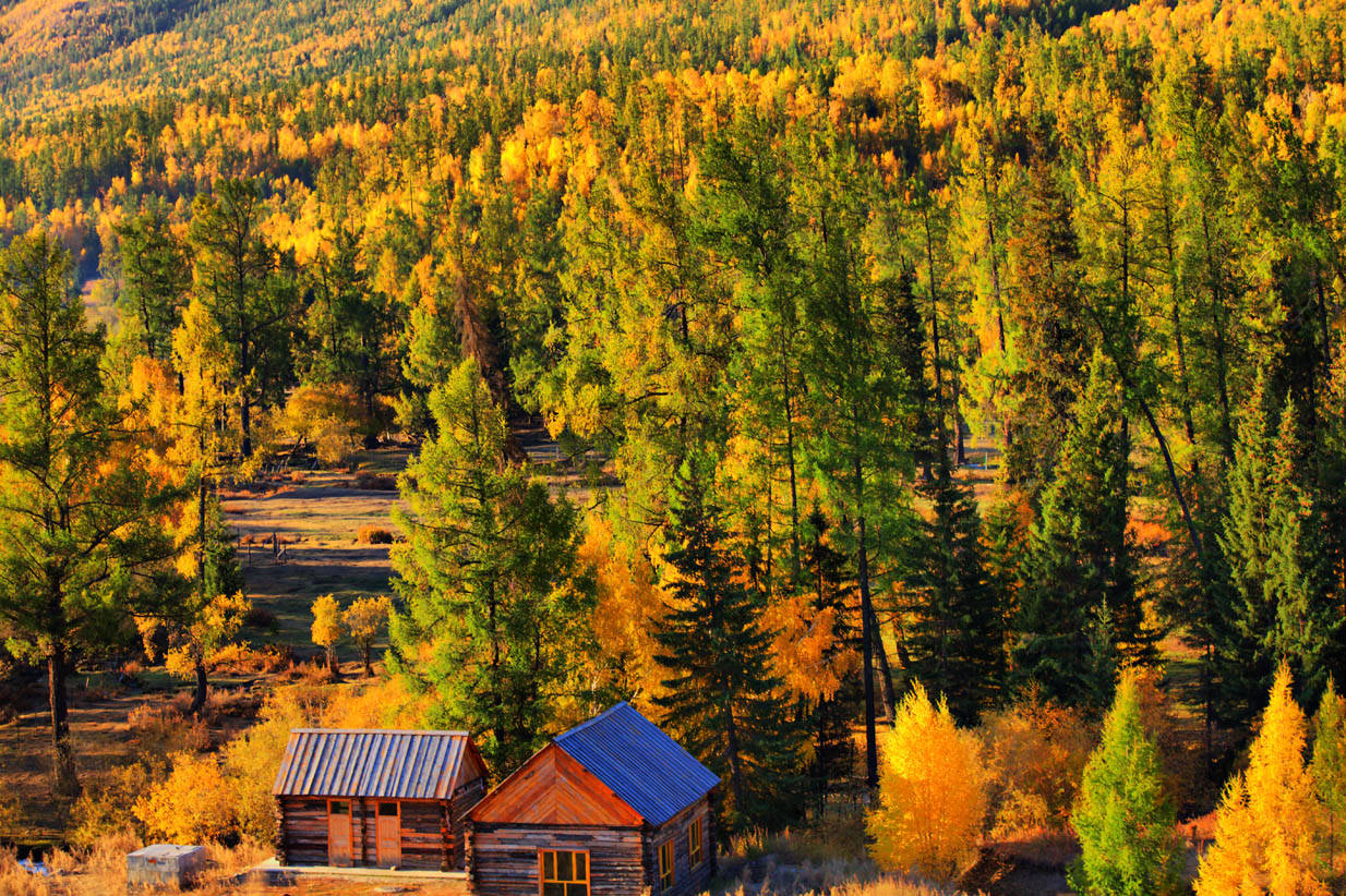 1729854499141389.jpeg 图片04.jpeg