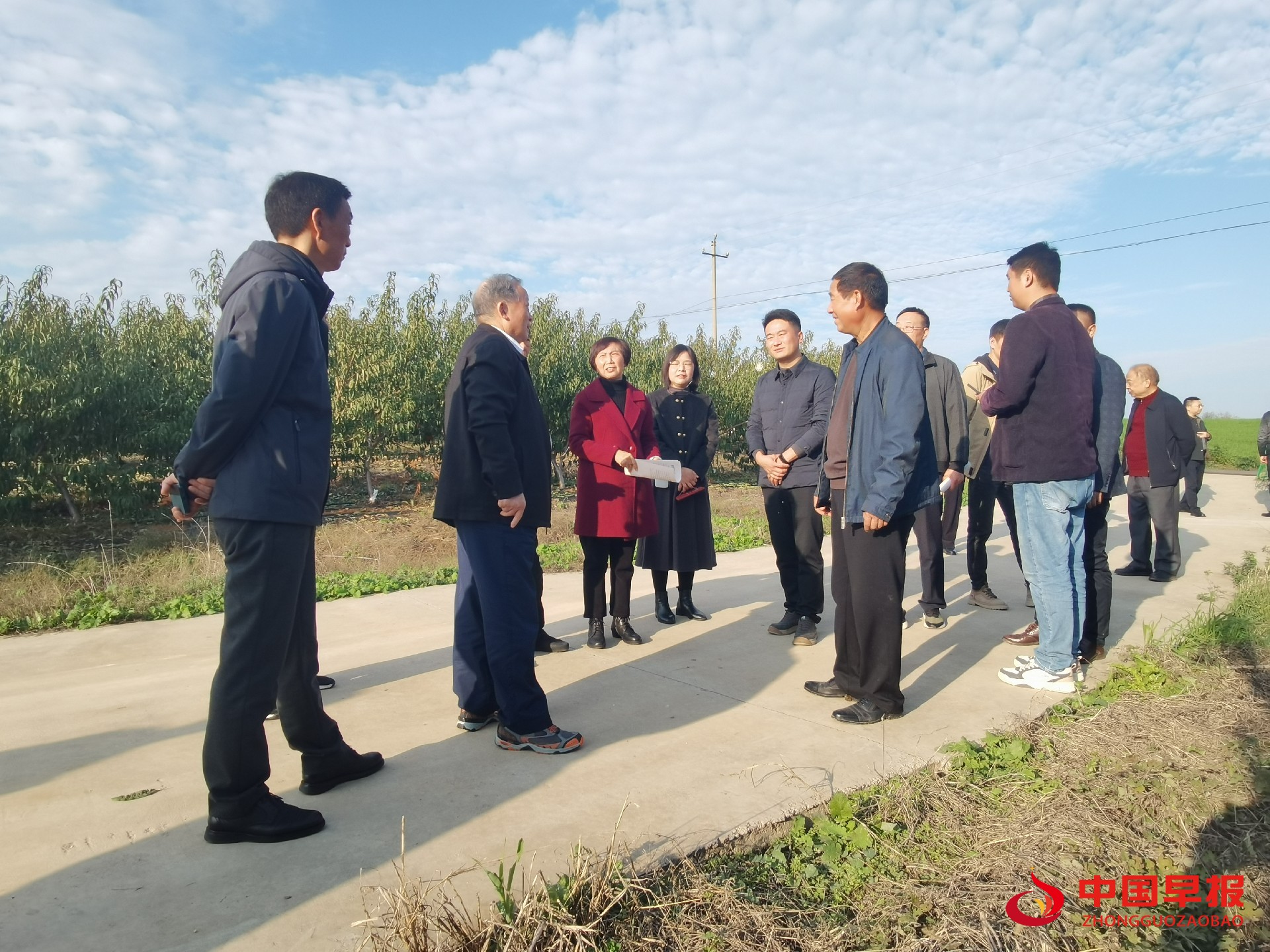 1732491576396169.jpg 1732491576396169.jpg