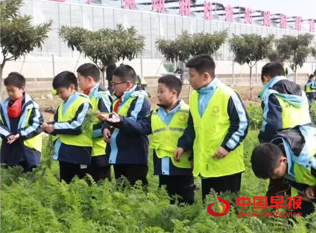 1732516845167589.png 7农事体验.png