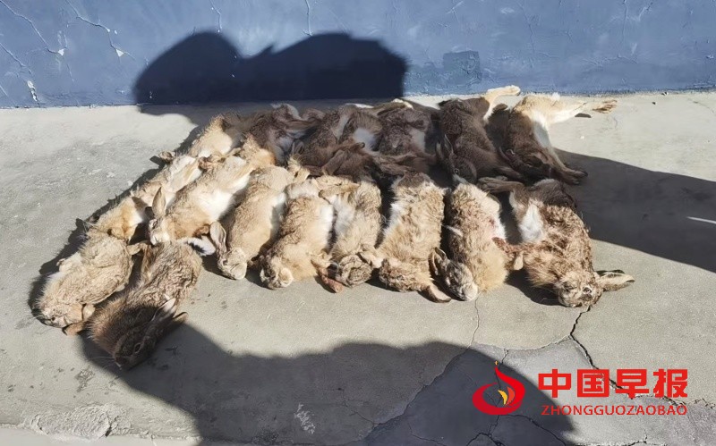 1735527500799091.jpg 微信图片_20241230104310_副本.jpg