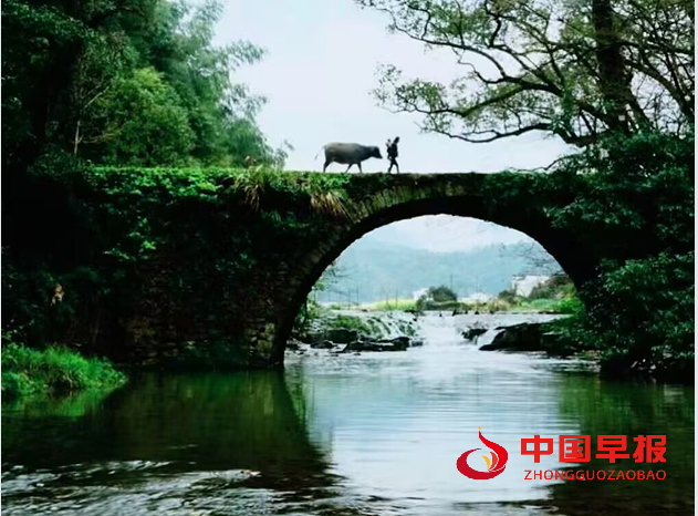 1737252909238055.png 江西婺源2.png