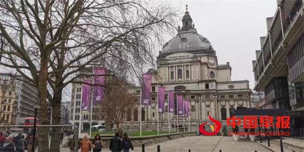 1737610474785558.jpg 555.jpg