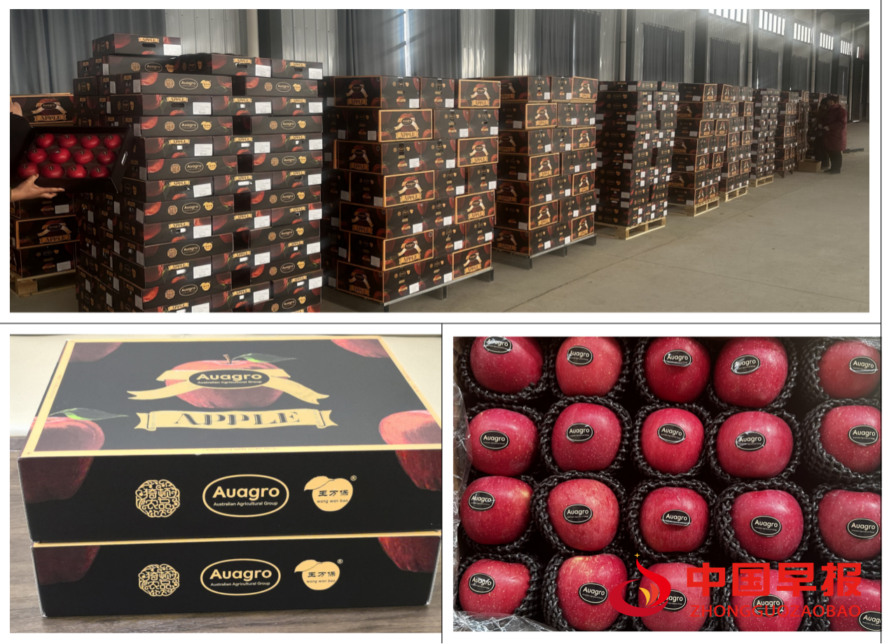 1737616998113396.png 图片03.png