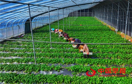 1742437049214380.jpg 微信图片_20250320095727_副本.jpg