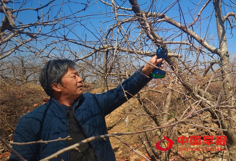 1742437105573011.jpg 微信图片_20250320095805_副本.jpg