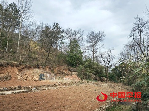 1744189042769659.jpg 640 (6).jpg