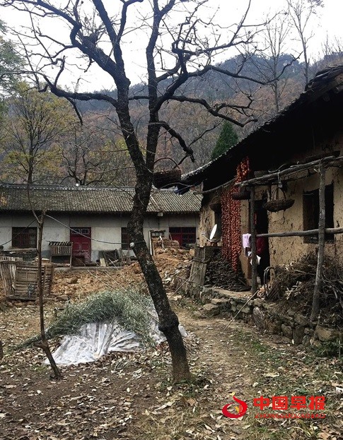 1744191948794441.jpg 微信图片_20250409172629.jpg