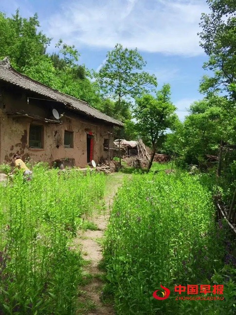 1744192031185975.jpg 微信图片_20250409172641.jpg