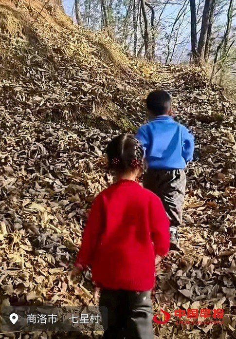 1744192106167382.jpg 微信图片_20250409172652.jpg