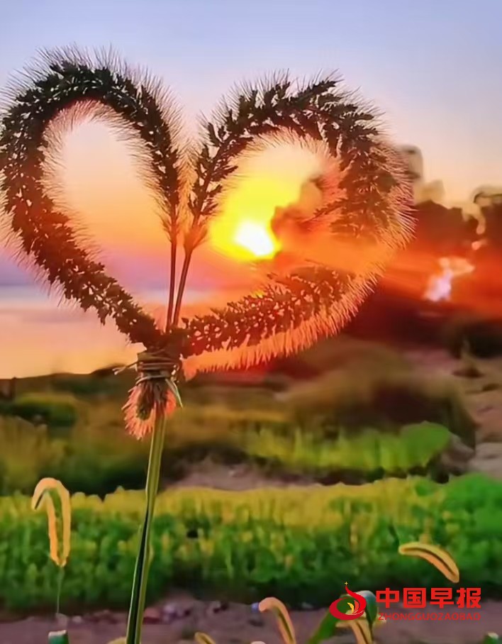 1744872682186201.jpg 1744872682186201.jpg