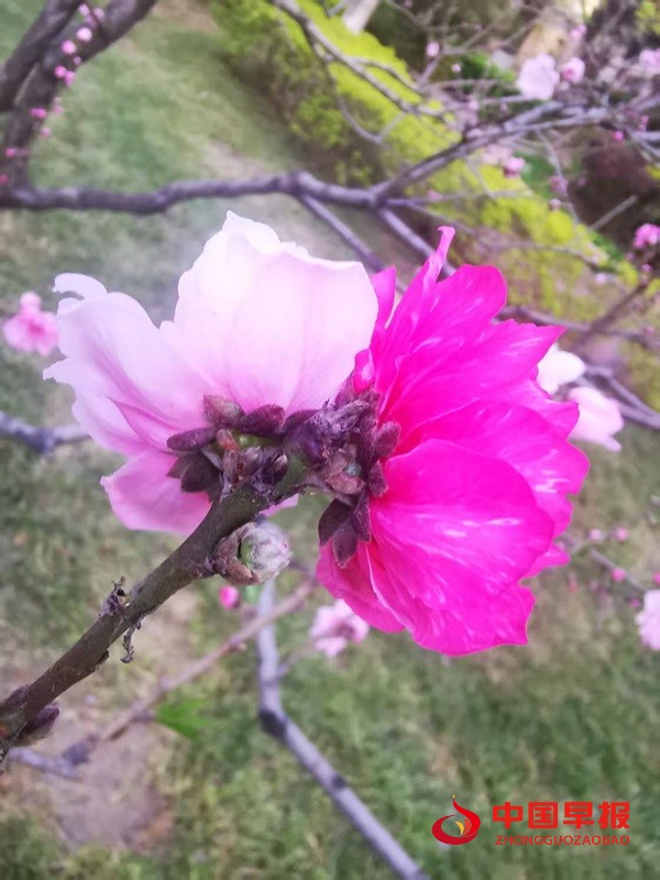 1744872780183910.jpg 1744872780183910.jpg