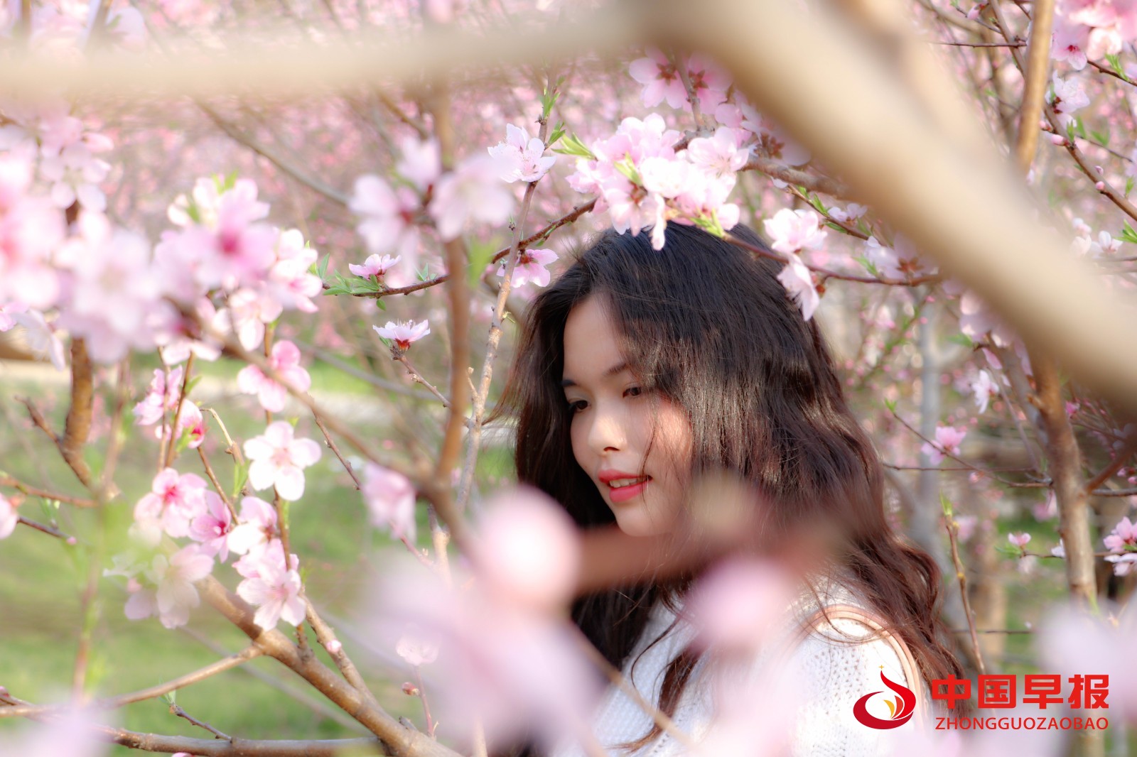 1746506770849210.jpg a305d4bb934e15d61a3a0f4d266edbf.jpg