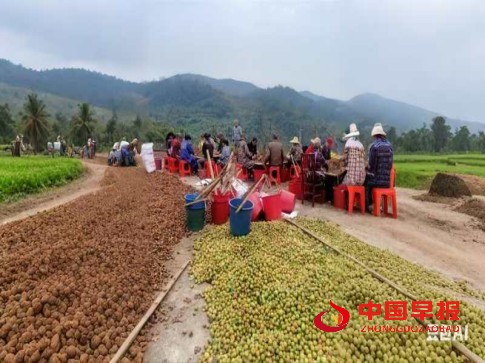 1747101355131892.jpg 4444.jpg