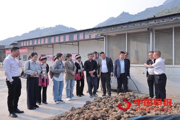 1748243557221781.jpg 图片2.jpg