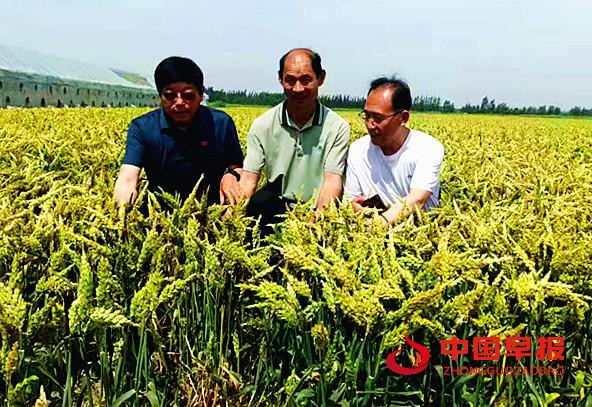 1749628697464311.jpg 图片02.jpg