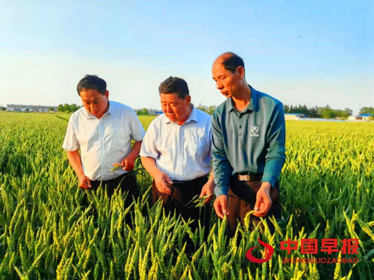 1749628754114764.jpg 图片03.jpg