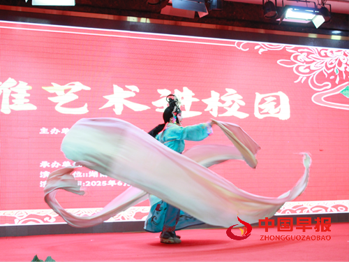 湖南外贸职业学院高雅艺术进校园展国粹盛宴(图2)