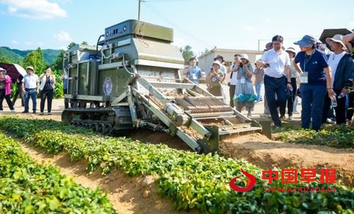 国家中药材产业技术体系太子参单品种攻关工作会议在贵州施秉举办(图3)