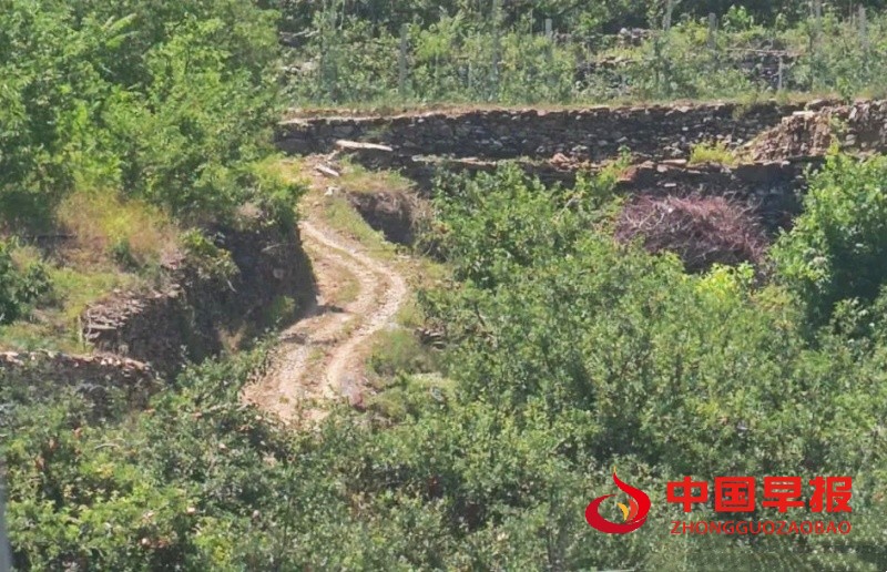 1750178868783918.jpg 640 (3)_副本.jpg