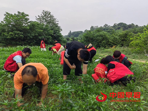 乡土间的助残答卷——长沙市上善助残服务中心的十年深耕(图11)