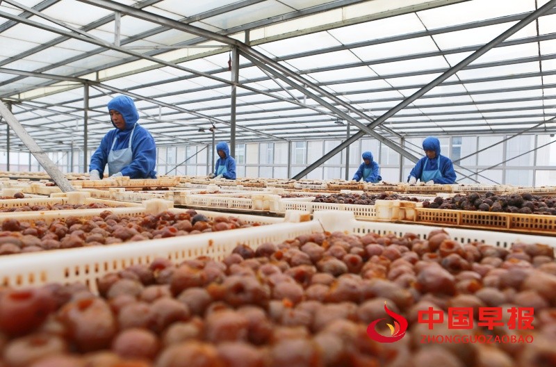 1753902929145299.jpg 微信图片_20250731031040.jpg