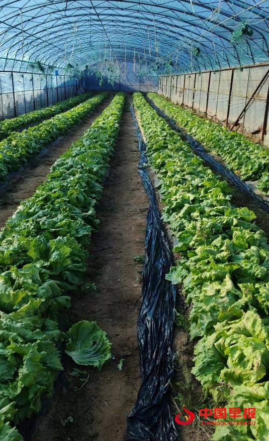 1755566211171567.jpg 1755566211171567.jpg