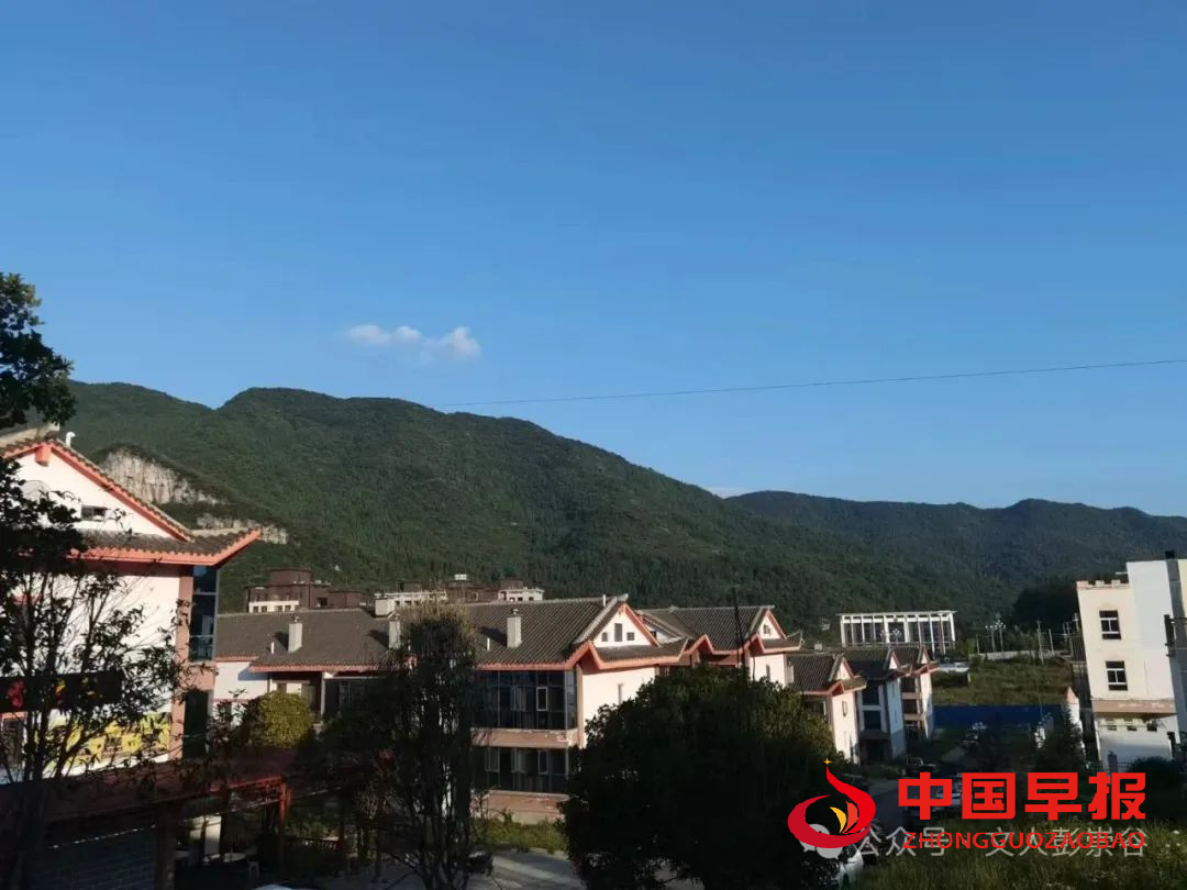 1756118183182634.jpg 1756118183182634.jpg