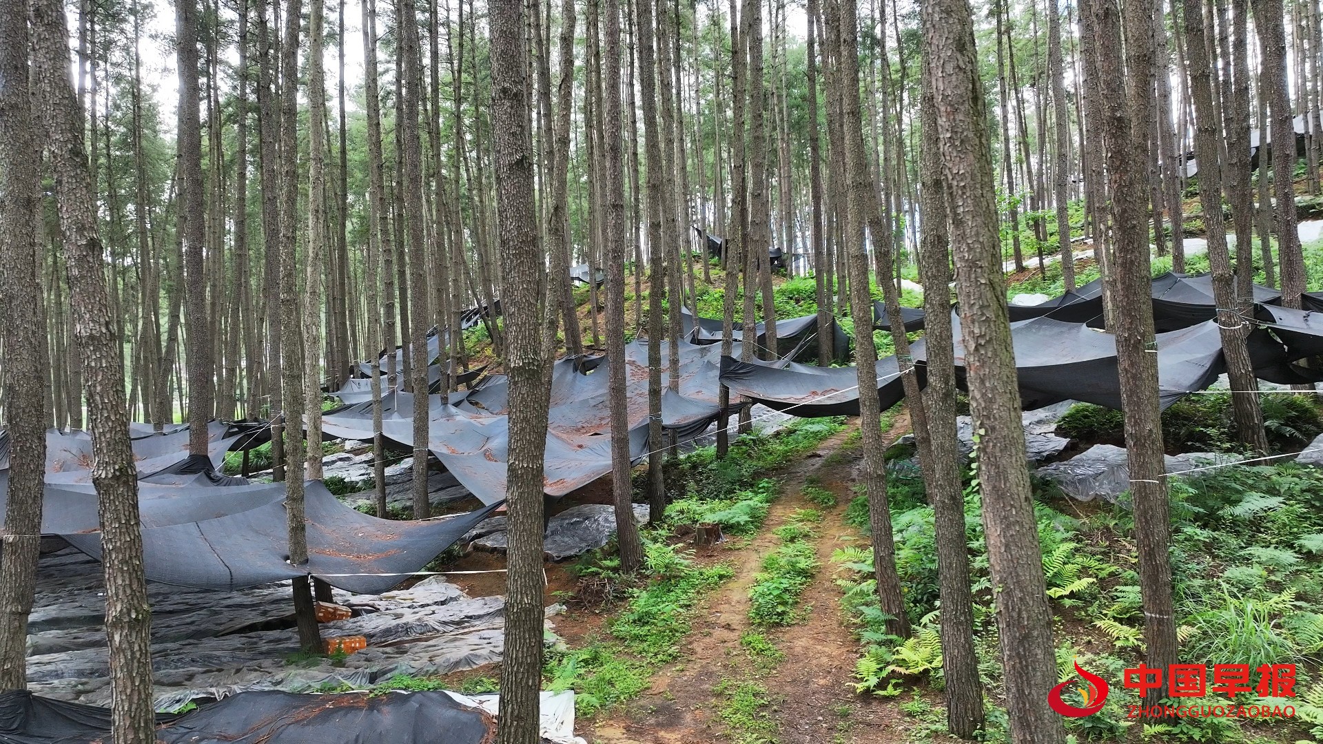 1756535854260401.jpg 1756535854260401.jpg