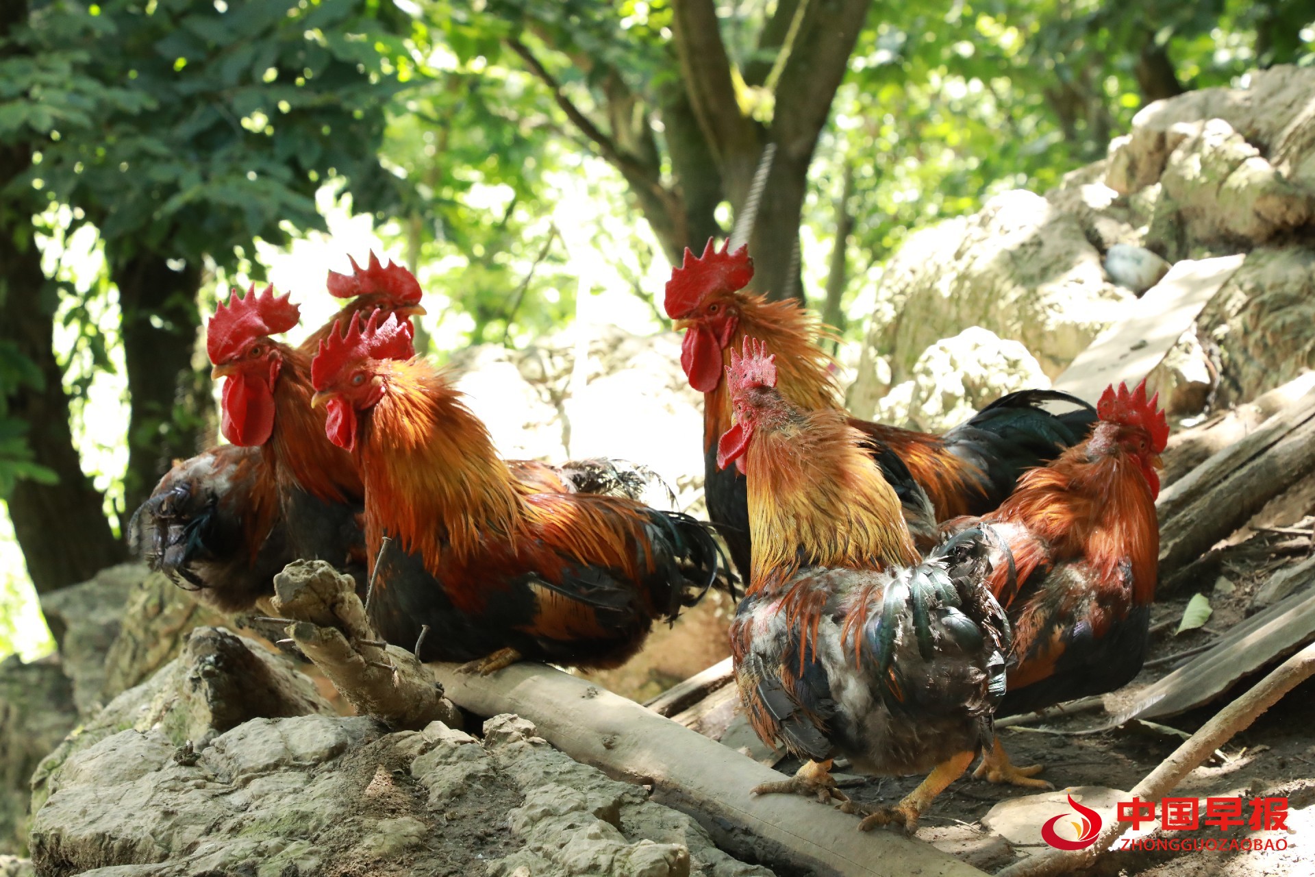 1756535895702082.jpg 1756535895702082.jpg