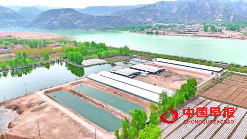 青海海东商贸发展跑出“加速度”  商贸经济交出亮眼答卷(图3)