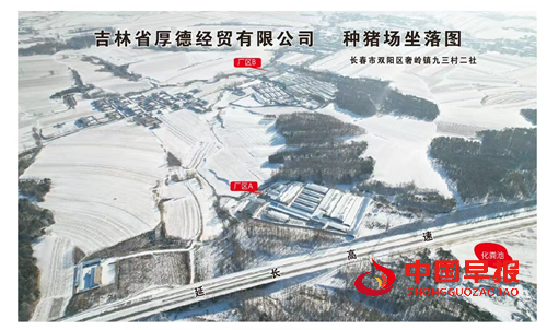 解码吉林省厚德经贸有限公司种猪场的“无抗密码”(图2)