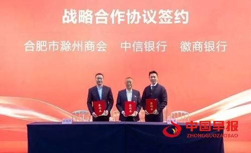 	庐州潮涌双城和鸣 琅琊新韵扬帆启程合肥市滁州商会第三届会员代表大会暨换届大会隆重举行(图12)