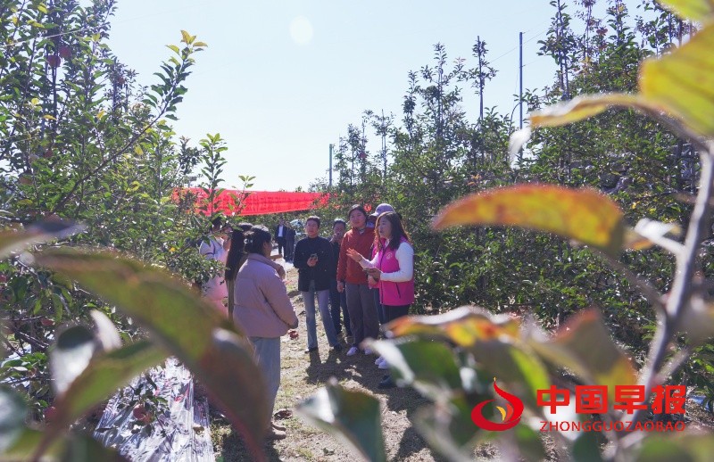 1762092829577739.jpg 8_副本.jpg