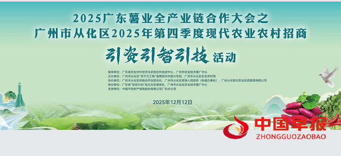 1765627746996954.png 11.png