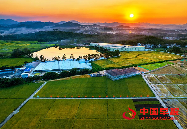 1765627844112855.png 44.png