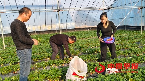 1766370253154273.jpg 微信图片_20251221185926_425_15.jpg