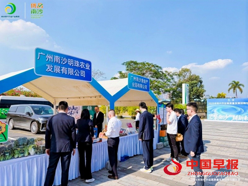 1766674072109086.jpg 2_副本.jpg