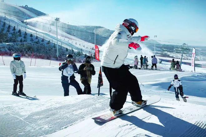 1767690572174029.jpg 图片03.jpg