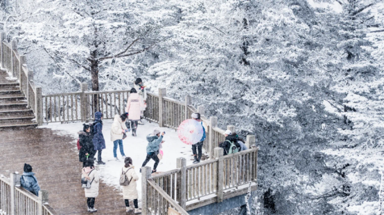 1767690935119167.png 图片08.png