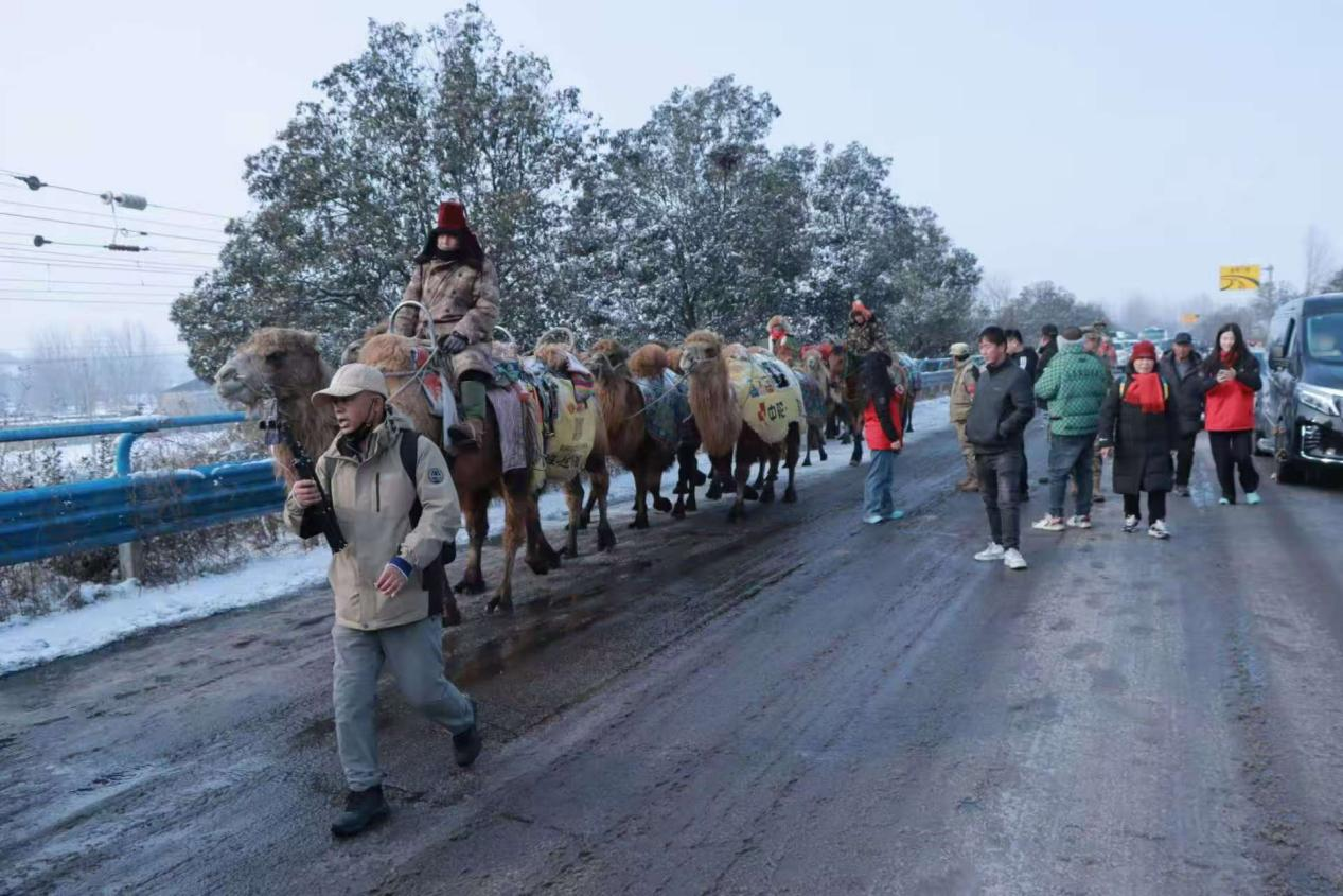 1767754925159009.png 图片02.png